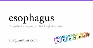 esophagus - 167 English anagrams